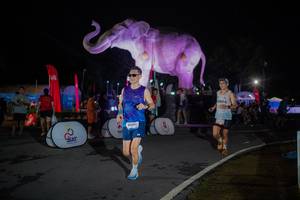 BIB: 
                            <button type="button" onclick="openModal(26551832)" class="btn btn-primary btn-sm float-right btn-popup" data-toggle="modal" data-target=".modal-high-quality">
                        <i class="fas fa-shopping-cart"></i> Add to Cart
                    </button>
                                            <button type="button" onclick="isThisMe(26551832, true)" class="btn btn-success btn-sm float-right btn-popup btn-isme hidden" data-toggle="tooltip" data-placement="bottom" title="นี่คือรูปของคุณใช่ไหม คลิกที่นี่เพื่อเอาเข้าอัลบั้ม">
                        <i class="fas fa-plus"></i> Add to album
                    </button>
                    <button type="button" onclick="isThisMe(26551832, false)" class="btn btn-warning btn-sm float-right btn-popup btn-isnotme hidden">
                        <i class="fas fa-ban"></i> Remove from album
                    </button>